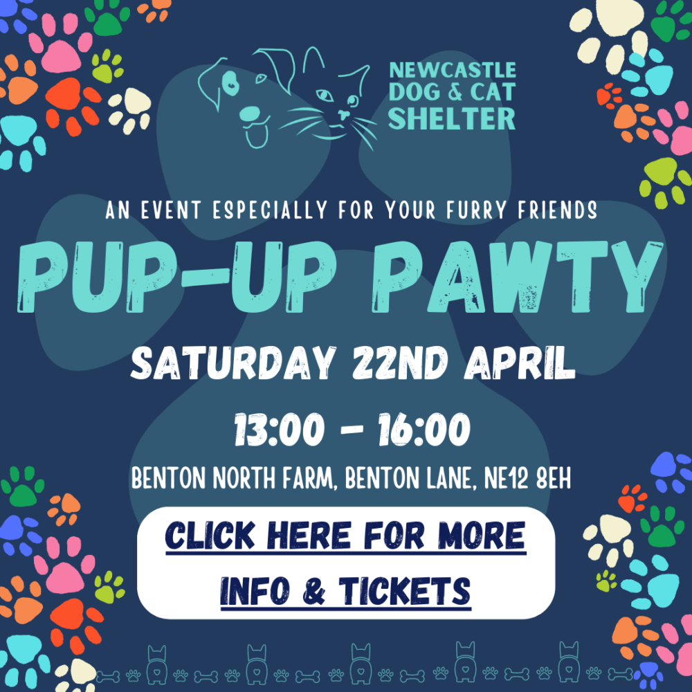 Events – Newcastle Dog & Shelter