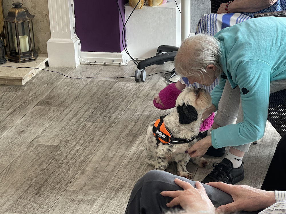 Shelter Brings Joy to Care Home Residents through Care Home Companion ...