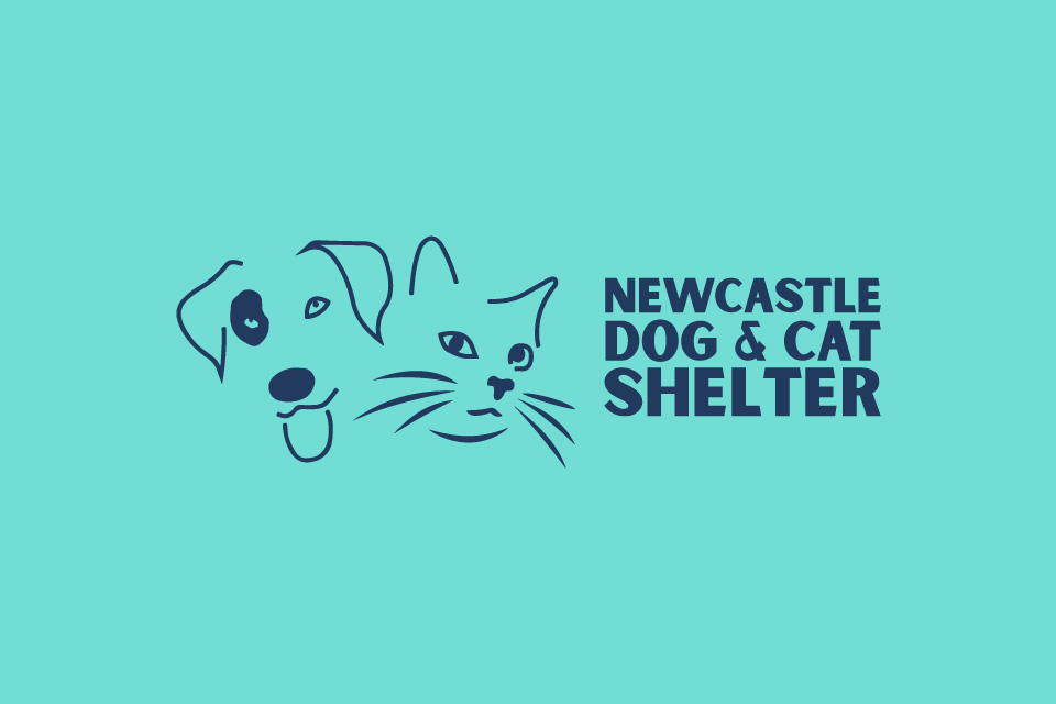 New castle hot sale animal shelter